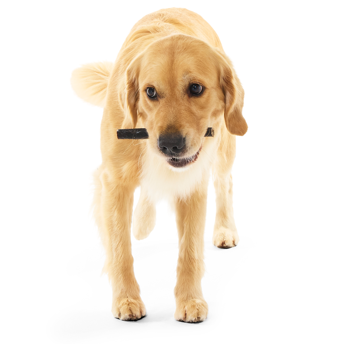 Beef Collagen Dog Chews, 5 Ct