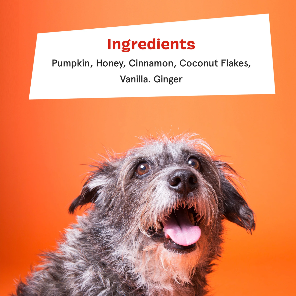 Pumpkin Spice, And Everything Nice Vegetarian Dog Food Meal Topper, 6.1 oz